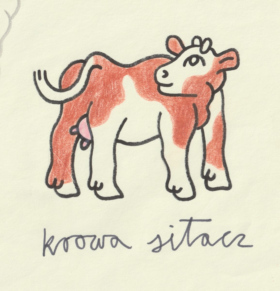 krowa-silacz-2022